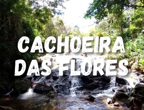 Uma Aventura Inesquecível na Cachoeira das Flores